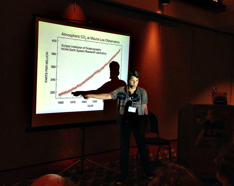 2014-summerfest-patreon-crop