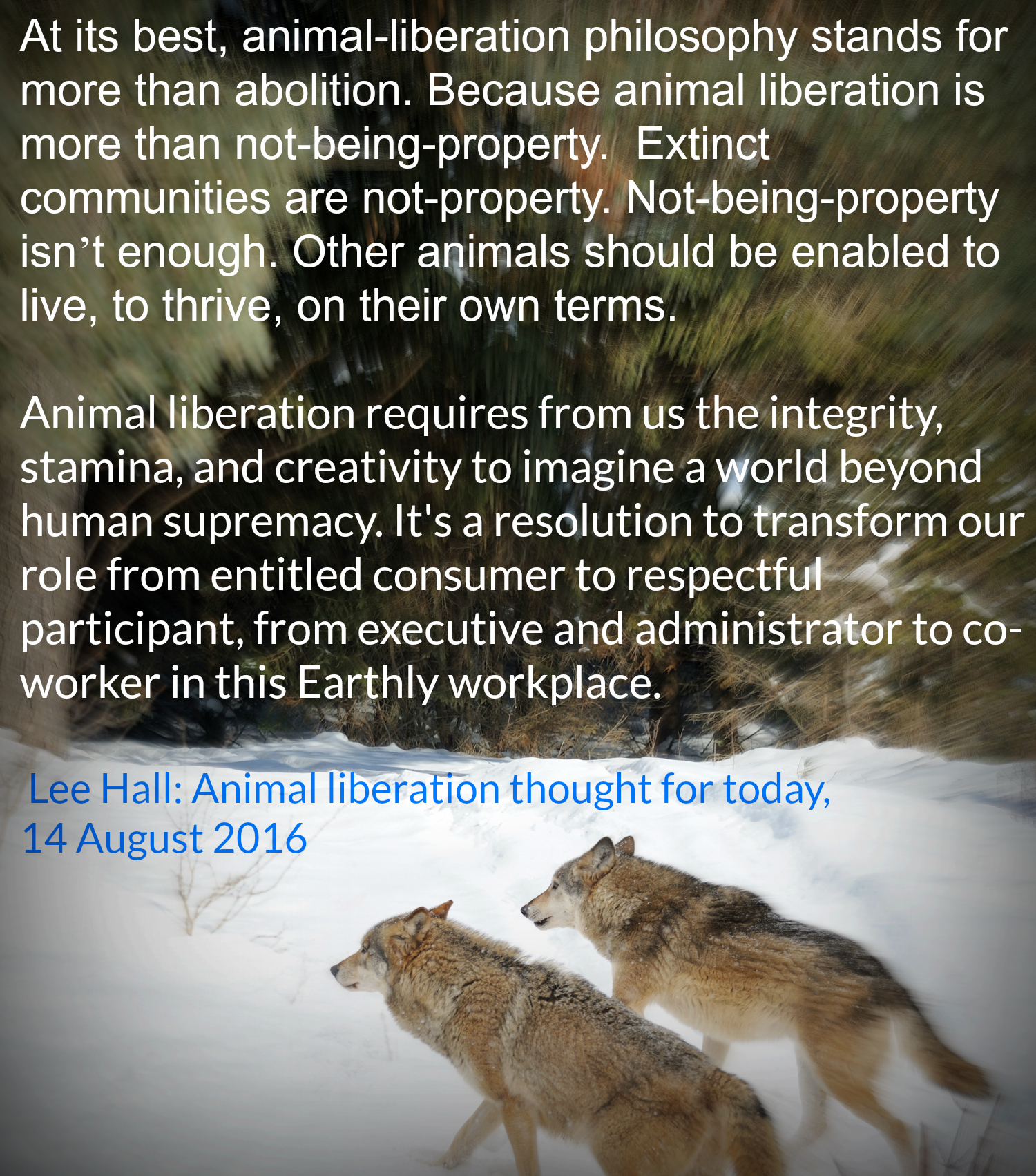 Animal liberation thought for today 14.8.2016
